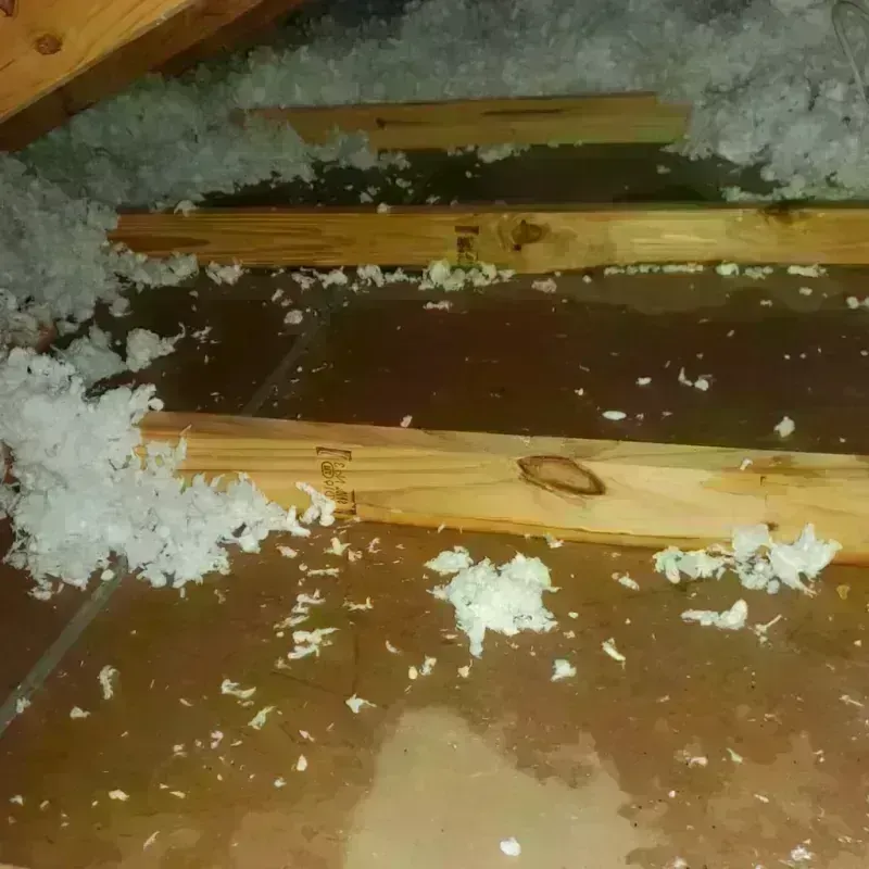 Attic Water Damage in Ellicott, CO